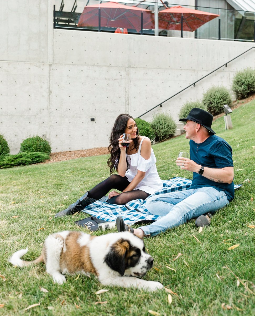 Join us for the return of the Kamloops SPCA Tail Gate Series on August 17 at Monte Creek Winery, 5:30-7:30 p.m.

🎟️ Tickets include admission for two people, one bottle of wine, and a scrumptious charcuterie vegan box. Get your tickets here:
can.givergy.com/KamloopsTailGa… #BCSPCA