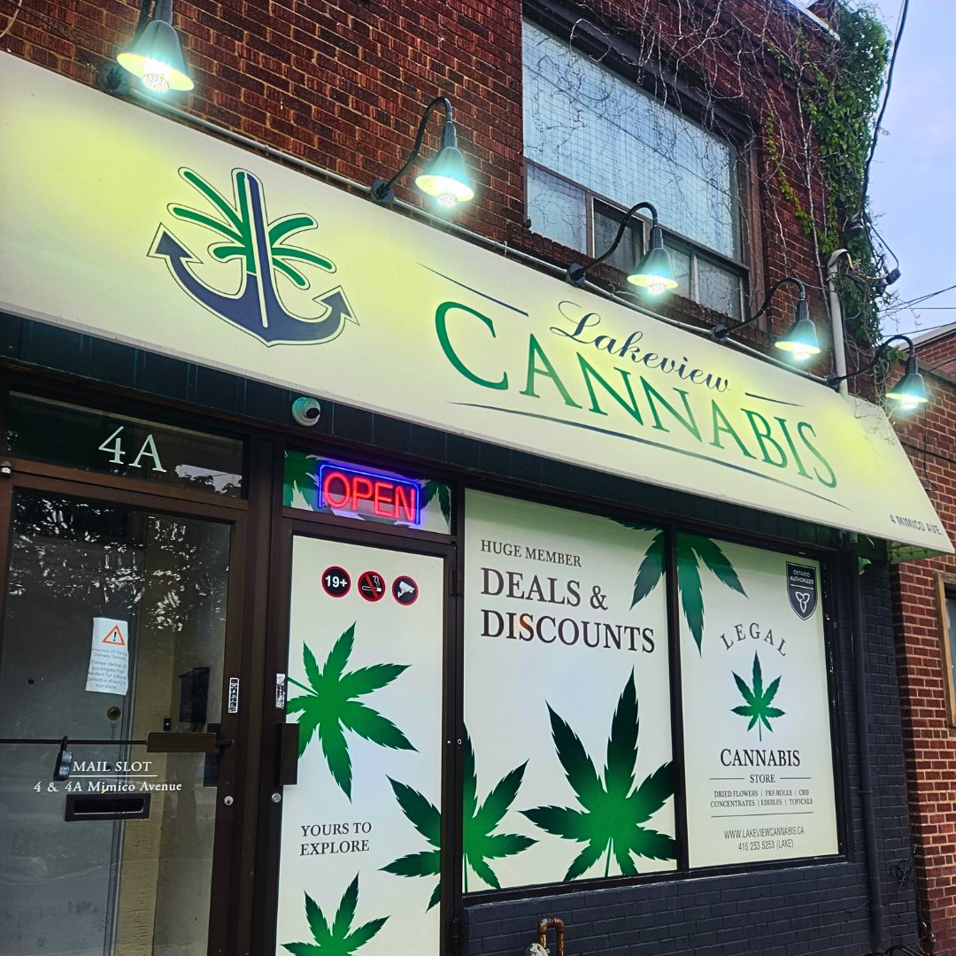 @MSIKUofficial tweet media