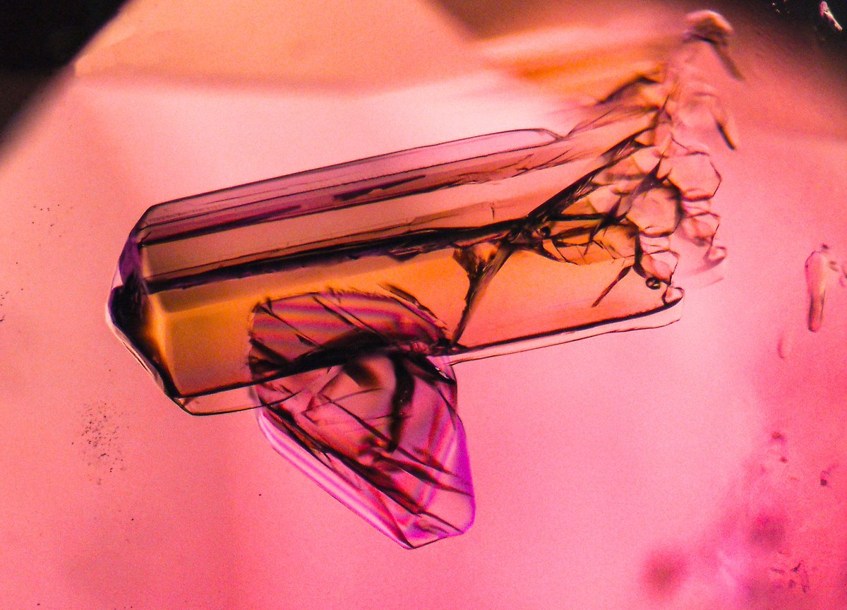 prettyltlgem's tweet photo. Crystal Inclusion in Mogok Ruby #Ruby #Gemstones #gemology #Science #mogokruby #diamonds #sapphire #emerald #macro #macrophotography #gemstonesinclusions https://t.co/YoaP66NCZm
