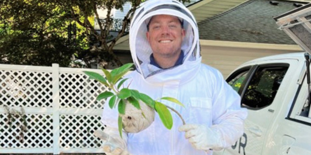 This #paperwasp nest was safely removed from a customer's deck. Great job Paul! You can count on our team of professionals for your peace of mind ✨ 📷: Paul Funk, Operations Manager