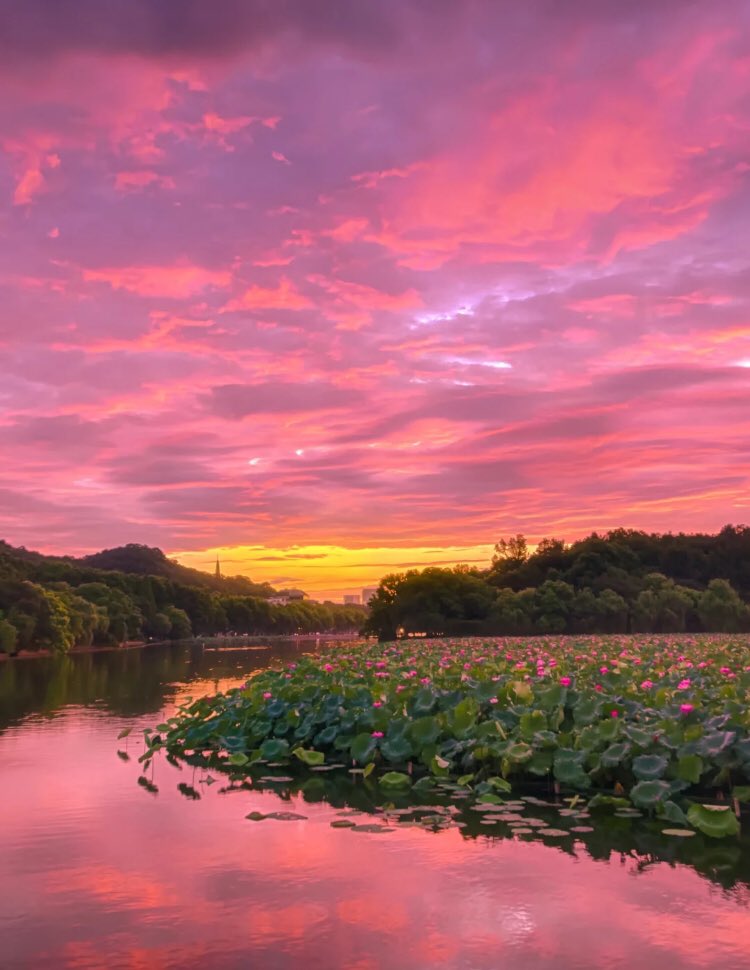 piinkibun's tweet image. magical &amp;lt;3