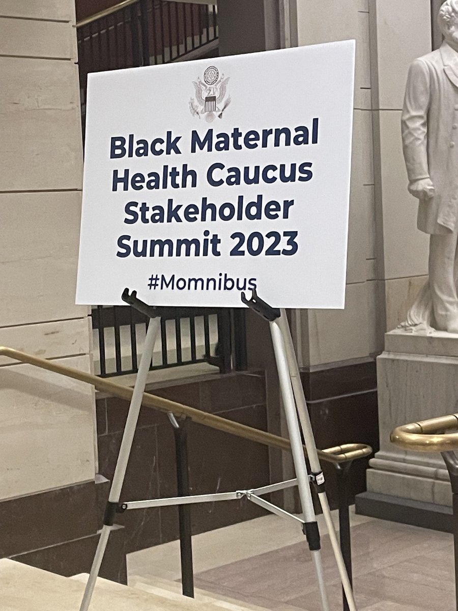 Family_Connects's tweet photo. FCI was excited to be a part of the Black Maternal Health Caucus Summit 2023! #FCI #blackmaternalhealth #Momnibus https://t.co/oWQp6zYVkq