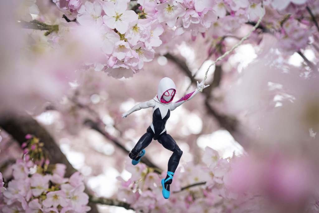 Toy Photographers tweet media