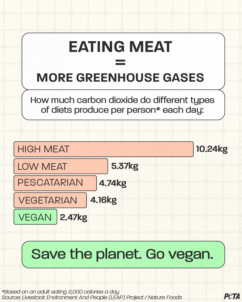 peta tweet picture