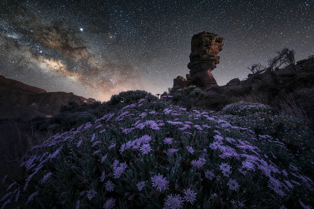 Kai Hornung tweet media