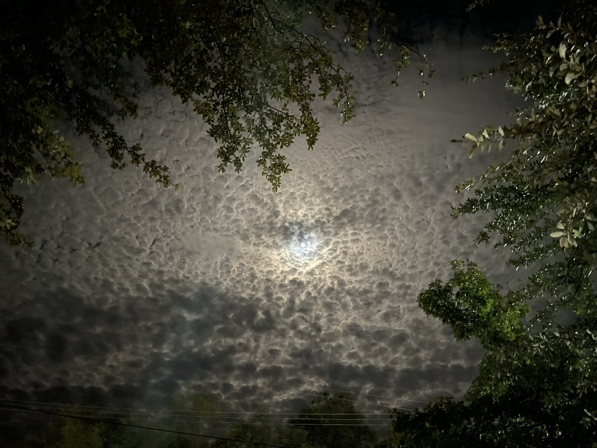 First full moon of August #fullmoon 🌝