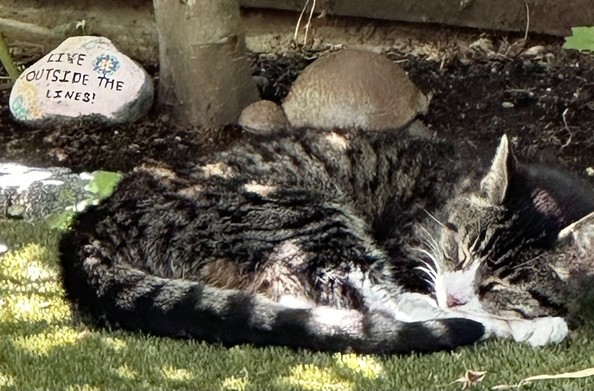 Roomies For Life Bot 🛸 tweet media