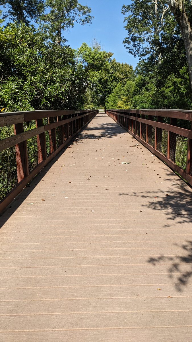 Scanadaz's tweet photo. Found some friends on yesterday's walk https://t.co/RXx4P2u0gR