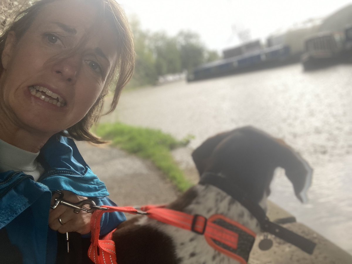 Love #AHPsActive - since having our pup (nearly a year) my step count has gone up- I’m forced out in the rain. He’s bonkers & beautiful & brings our family a lot of joy. Caught in a shower tonight!