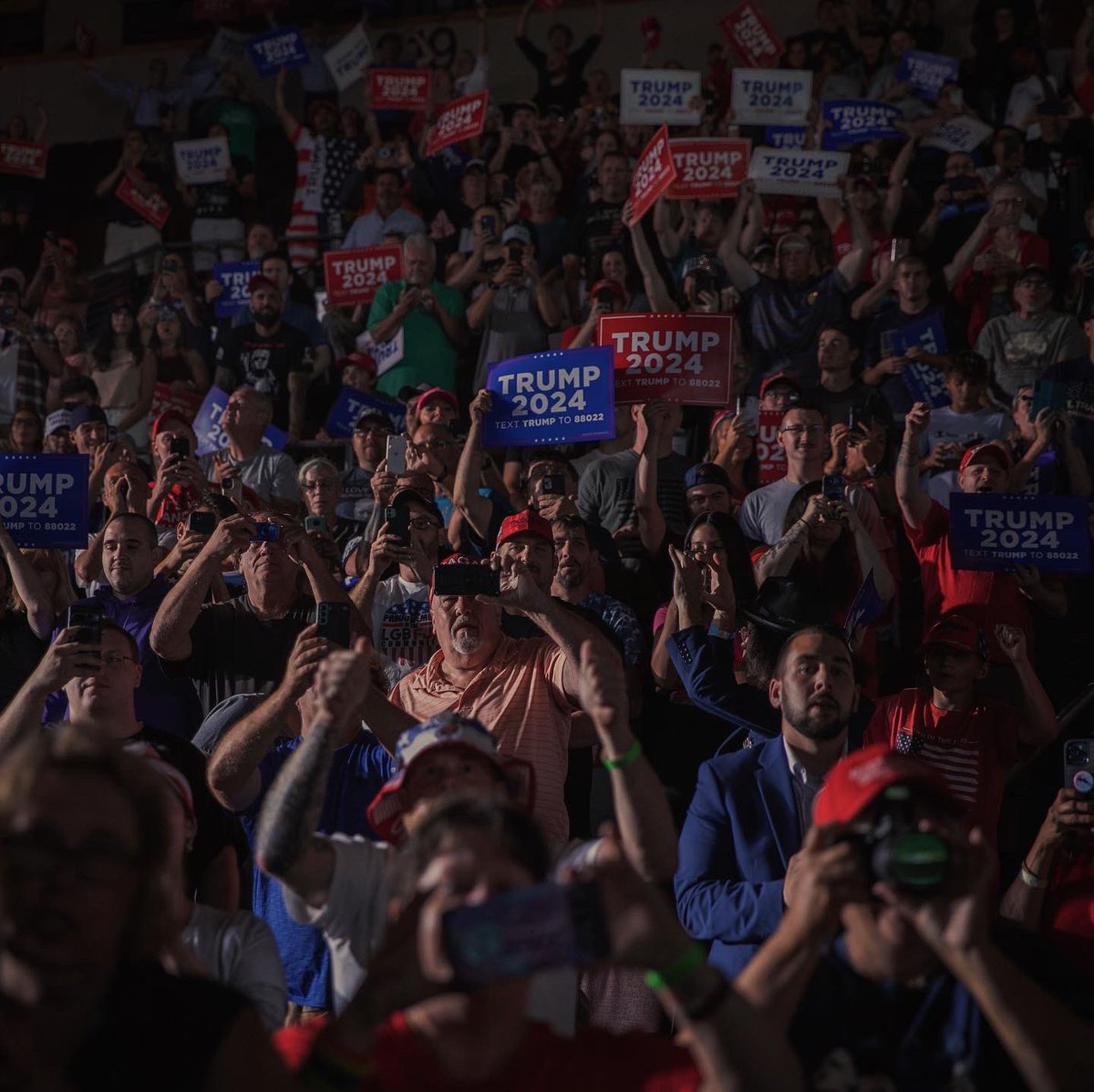 Maddie McGarvey tweet media