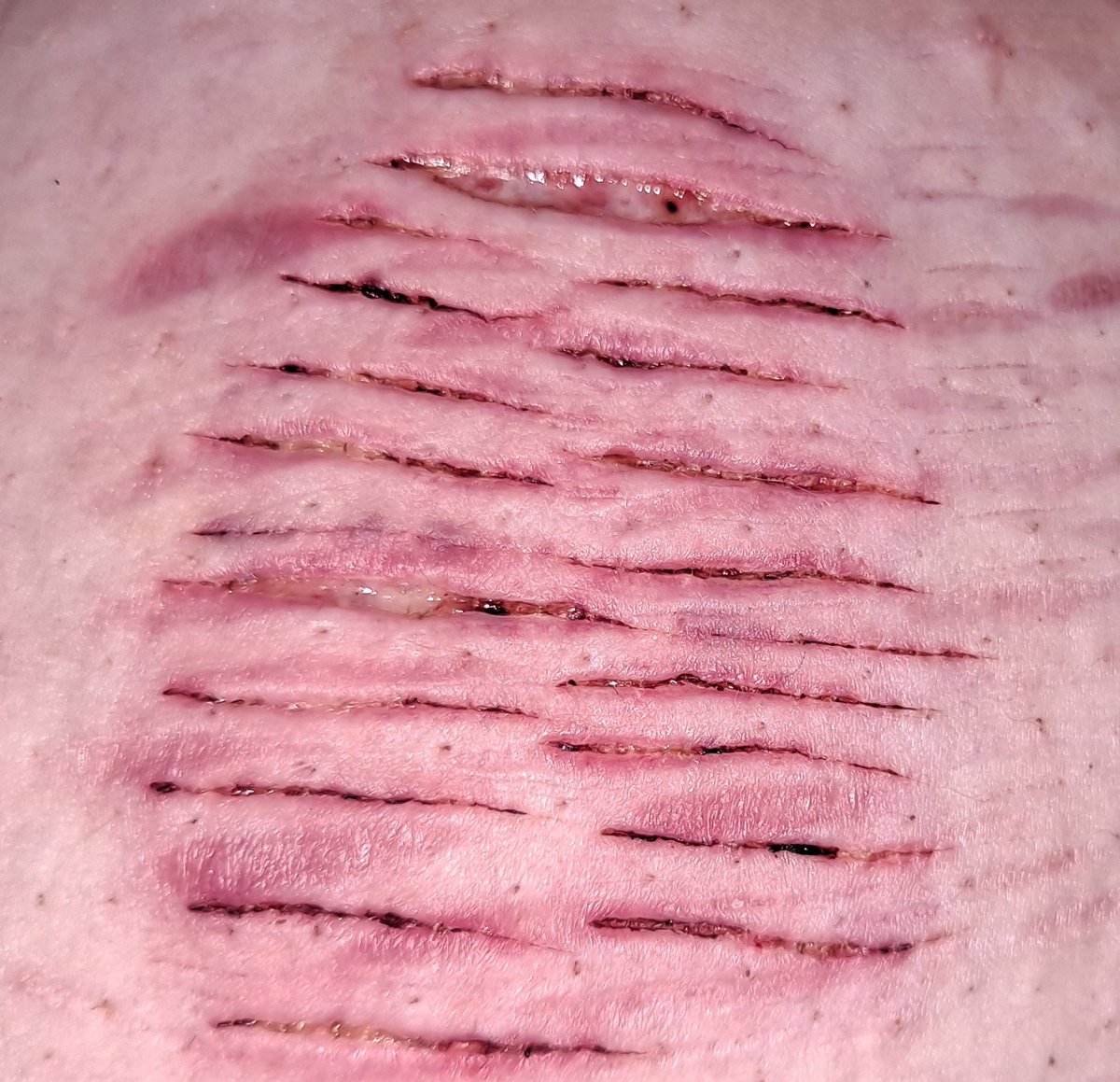 𝖜𝖍𝖎𝖒𝖘𝖎𝖈𝖆𝖑 tweet media