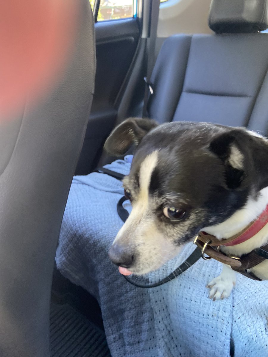 glenda carroll tweet media