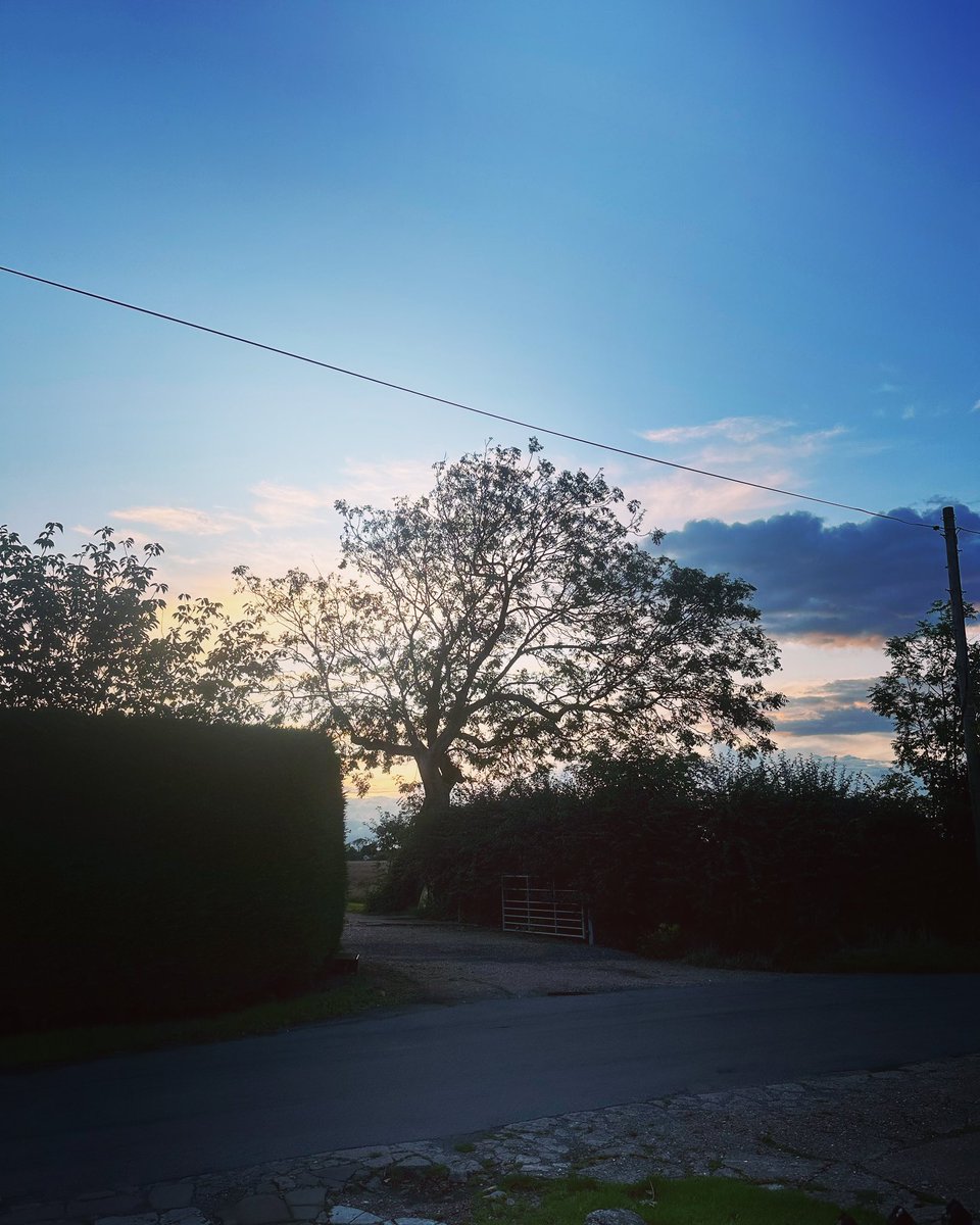 IanChappers's tweet image. What is prettier than nature? #nature #sunset #suffolk #suffolkskies