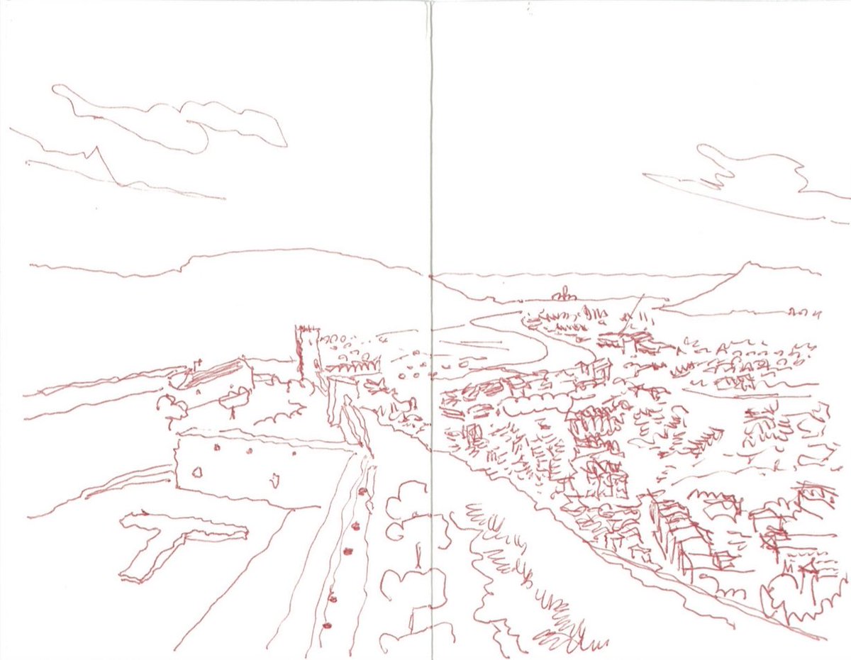 B Gomez-Pimienta (@bernagompim) on Twitter photo 