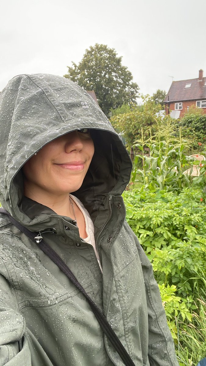 Anyone else relate as a British allotment holder? 🌧️