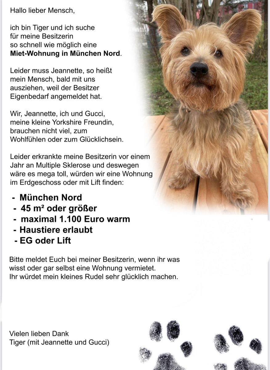 Detlef_1955 tweet media