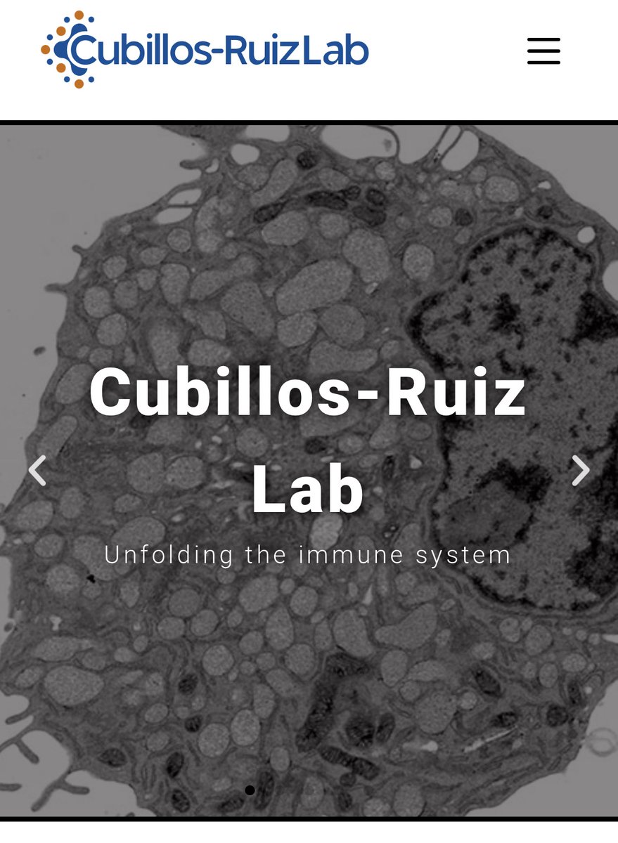 JCubRuiz's tweet image. 🚨Happy to unveil our brand-new website cubillosruizlab.org.  Multiple positions available to investigate immune stress 🥵🔥in tumors and develop new forms of #cancer #Immunotherapy