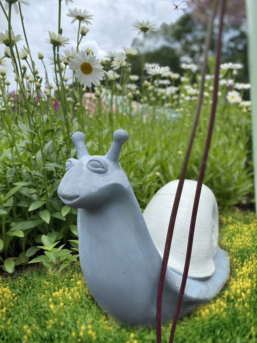The only snail you would want in your garden! Available at Unlimited Earth Care Garden Center.

#unlimitedearthcare #justfredericoazevedo #garden #gardencenter #outdoordesign #sculptures #Bridgehampton #snail #unique #hamptonsstyle