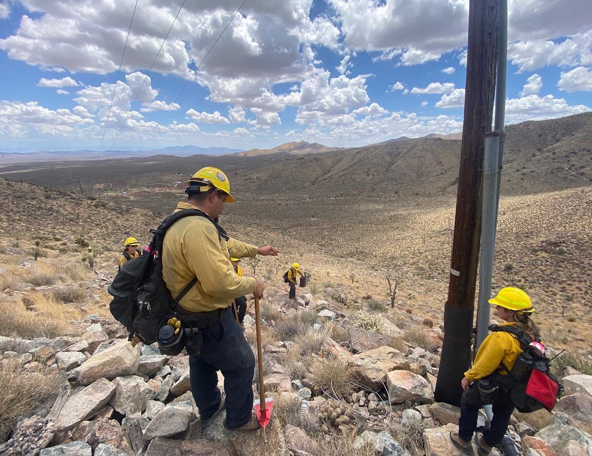 NVEnergy's tweet photo. Thank you to the firefighters &amp; first responders working to defend against the #YorkFire — including our partnering fire agencies from Douglas, Lincoln, &amp; Elko who are removing overgrown grass &amp; shrubs around our lines and wrapping equipment with fire resistant mesh. #PowerSafeNV https://t.co/SlZ0QHeT2H