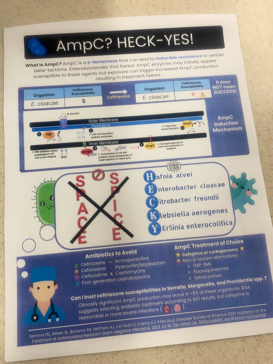 Love when students make infographics on rotation! 

Check out this 🔥 infographic on Amp-C organisms by @PayalKGurnani and @jloomisyo stellar student! 

#PharmICU #IDTwitter