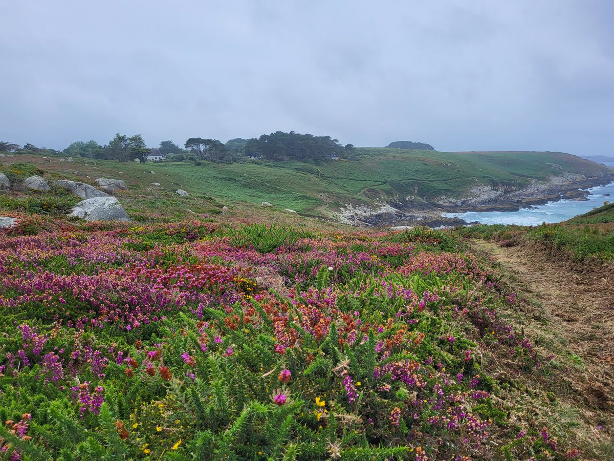 So. Bretagne jetzt. Tschö. Bis später.