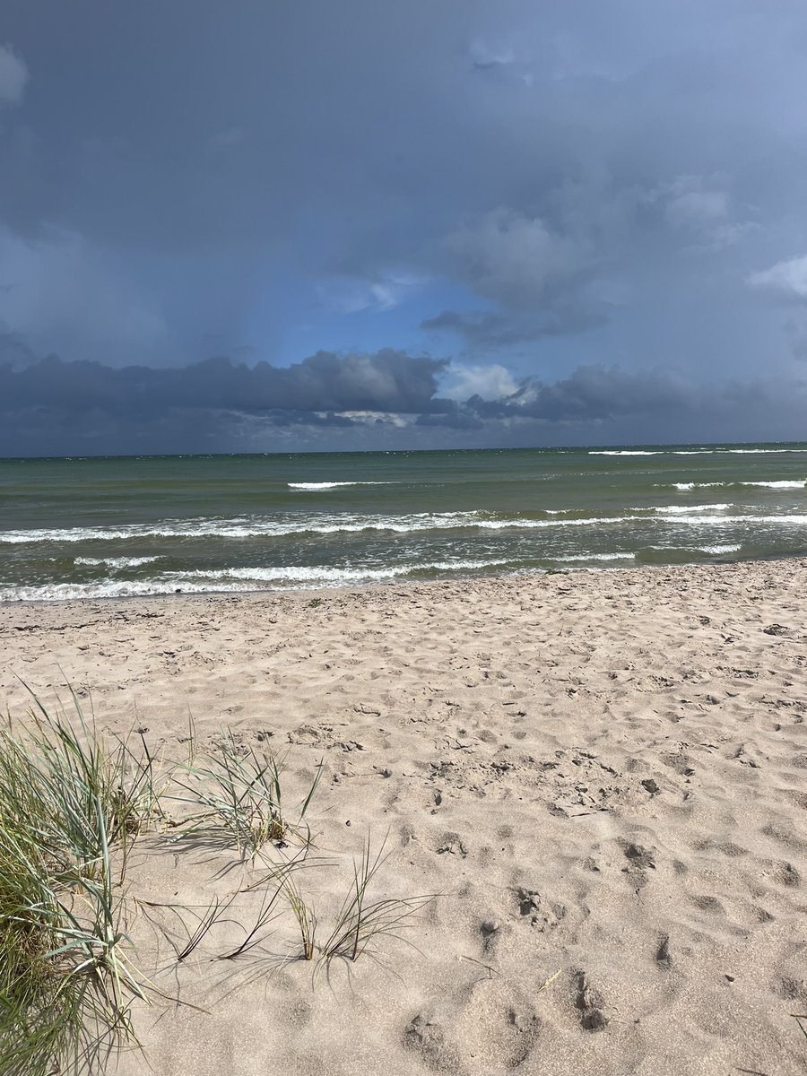 Niclas Sjögren Berg tweet media