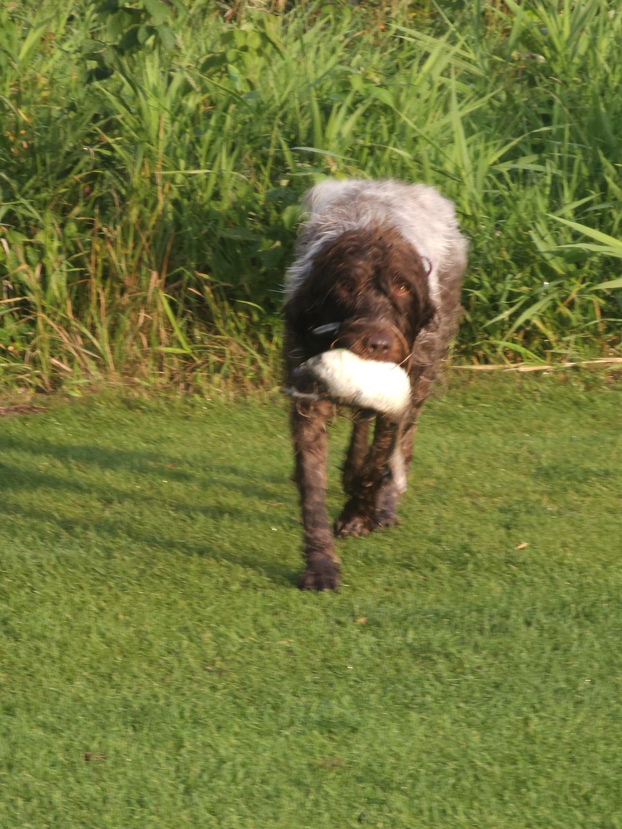 Tyson Arcand tweet media