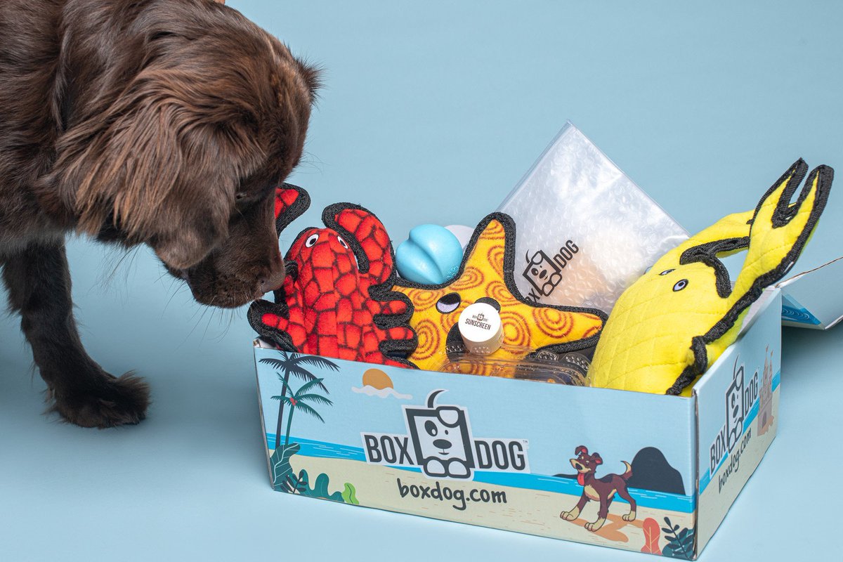 CocoasRuffLife's tweet photo. Us dogs have it #ruffโฆ
We need some good ole fashioned pamperingโฆ
How about a monthly toy & snack box subscription to take care of ur pet! #BoxDog has you & your pet covered!
๐ถโก๏ธ https://t.co/5EWg9Bnhzb
๐จUse Code BAG at checkout for a free Saddlebag with your order! https://t.co/GVHA2djMRY