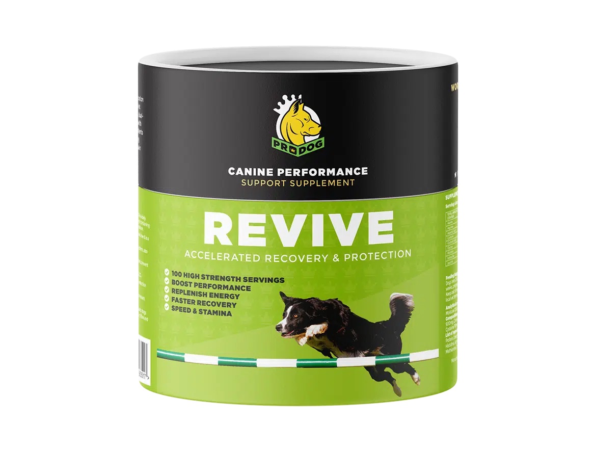 .<a href="/ProdogRaw/">ProDog Raw</a>'s Revive supplement  s excellent for active, working or sporting #dog breeds.  It helps by maintaining performance, replenishing &amp; boosting energy levels &amp; aids a faster recovery from daily demands.  Each tub contains 100 Servings
prodograw.com/shop/dog-suppl…