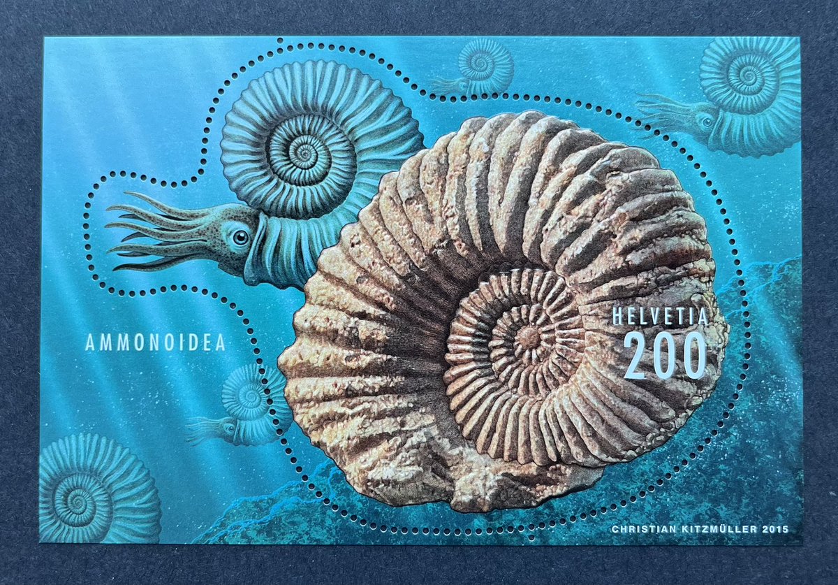 Cool looking stamp! “Ammonite” multi-layer embossed m/s issued 3/5/2015. Ammonites populated oceans between 400 mio. and 65 mio. years ago. They are closely related to the squid family. In Switzerland they are most commonly found in the fossil rich Jura region.