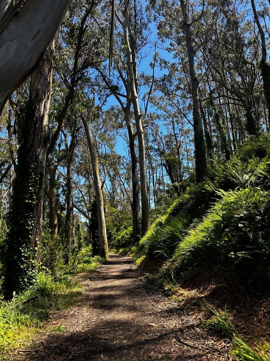daversifier's tweet image. Golden Gate Bridge, San Francisco, CA, USA, Marin Headlands Hiking #Hiking #California #GoldenGateBridge #Scenery #Enjoy #Adventure