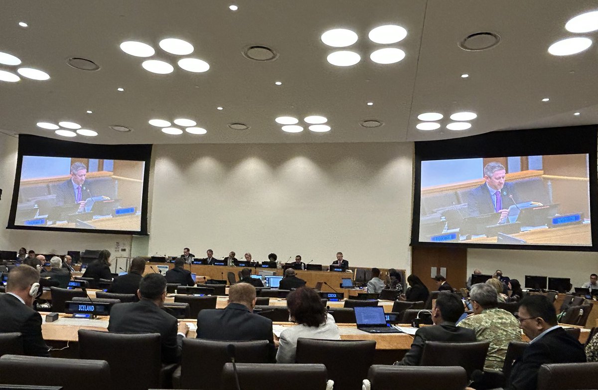 UN-GGIM 13th session today, Agenda item 8 #GGRF 29 interventions from Member States, including the @iag_geodesy and the ISO/TC211 supporting the work og the Subcommittee on Geodesy and welcomed the inauguration of the UN-GGCE.🌍👏 #UNGGIM13 #GGIM13