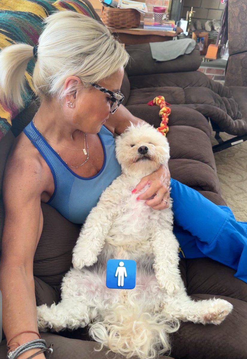 s0bernstilettqs's tweet photo. My dog is a male. He won’t ever identify as female. He also won’t ever identify as a cat.
#stoptransingthekids #maledog #notacat https://t.co/rITufDF9ng
