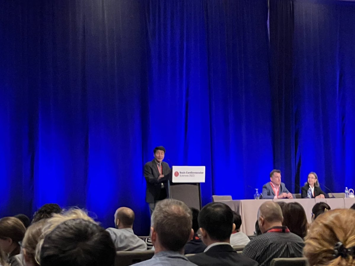 Han Zhu (@hanzhumd) on Twitter photo Talk on comprehensive mapping of cardiac enhancers in the developing heart by <a href="/SeanM_Wu/">Sean M Wu, MD PhD</a>; an insightful summary of cardiac multi-omics techniques and important applications in cardiac development & arrhythmia👏🙌#BCVS2023 <a href="/AHAScience/">AHA Science</a> <a href="/Will_Goodyer/">William Goodyer, MD/PhD</a> <a href="/BCVSearlyCareer/">Basic Cardiovascular Sciences (BCVS) Early Career</a> Talk on comprehensive mapping of cardiac enhancers in the developing heart by <a href="/SeanM_Wu/">Sean M Wu, MD PhD</a>; an insightful summary of cardiac multi-omics techniques and important applications in cardiac development & arrhythmia👏🙌#BCVS2023 <a href="/AHAScience/">AHA Science</a> <a href="/Will_Goodyer/">William Goodyer, MD/PhD</a> <a href="/BCVSearlyCareer/">Basic Cardiovascular Sciences (BCVS) Early Career</a>