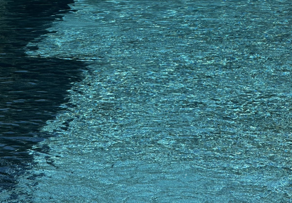 DreamDividend's tweet photo. I invested in my 20s
so that
after working 4 hrs today
in my 40s
I can take off all my clothes
and dive the f*ck
into this pool…
You? 🫵
#workoptional #millionaire 🔥💃💋
#lifehack #FinancialFreedom https://t.co/N9z8UCuHS7