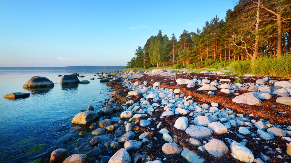 Let's explore the world together without traveling: Coast of Kasmu, #Estonia #exploreEarth #sustainableLiving #environmentallyFriendly #NaturePhotograhpy #naturelover #naturelovers