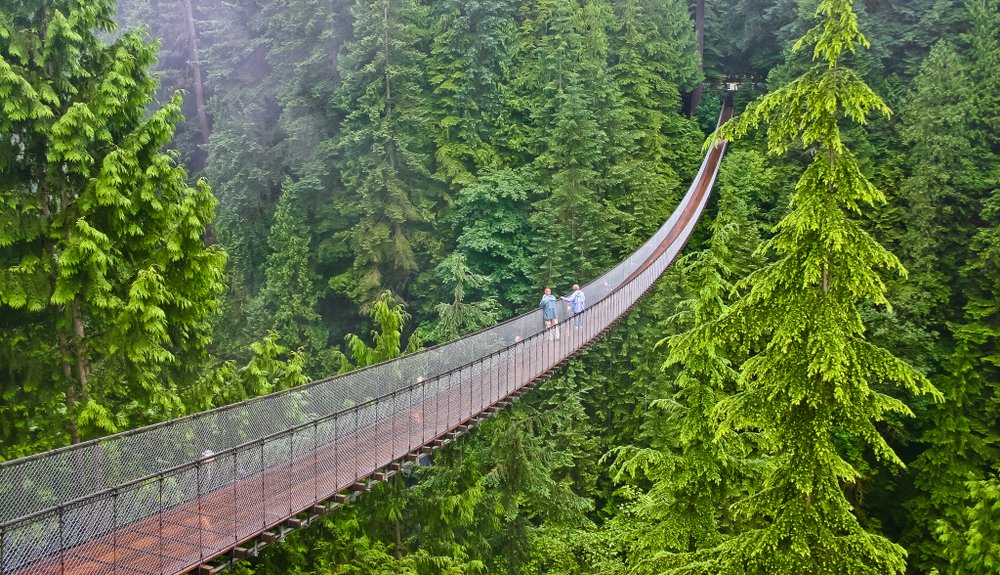 Let's explore the world together without traveling:

Capilano Suspension Bridge, Vancouver, #Canada

#exploreEarth #sustainableLiving #environmentallyFriendly #NaturePhotograhpy #naturelover #naturelovers