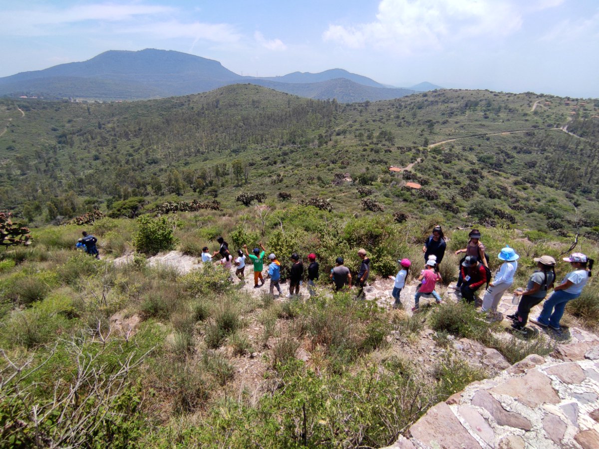 AmbienteEdomex's tweet photo. Para conocer más acerca de la biodiversidad que existe en las #ANP, la #CGCE de la #SMAGEM imparte a niños del curso de verano del #DIFTeotihuacán, talleres, pláticas y una visita guiada en el Módulo Ecoturístico “La Rinconada” del #ParqueEstatalSierraPatlachique https://t.co/duj7BQHavi