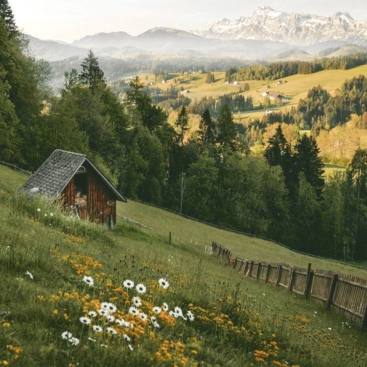 poeticalphotos's tweet photo. https://t.co/NdJ1WO0Zvi