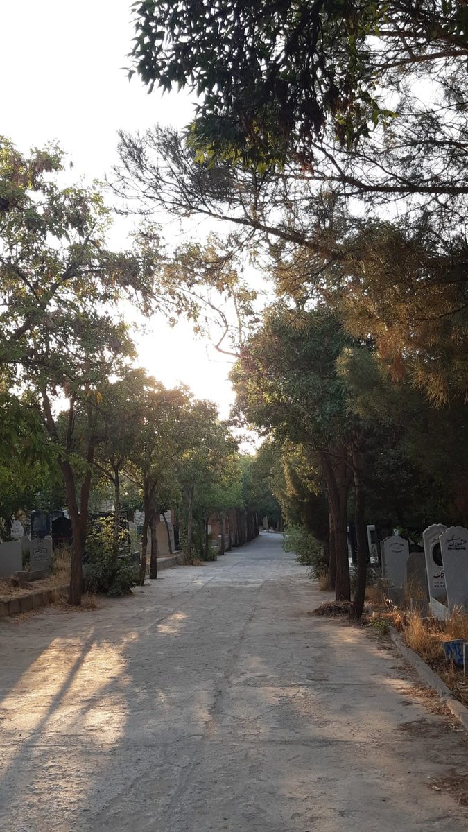 katayoun__'s tweet photo. son kez veda etmeye. https://t.co/W8Ad3mYCSP