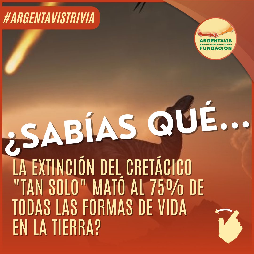 argentavis_f's tweet photo. 💡🌿 Descubre curiosidades sobre la naturaleza y acompáñanos en este emocionante viaje de descubrimiento, en esta nueva publicación. ¡Siempre hay algo sorprendente que la naturaleza tiene reservado para nosotros! 🌎💫 #Museo #Curiosidades #Fosil #SabiasQue #Paleontologia #Trivia https://t.co/JdABoYtnOt