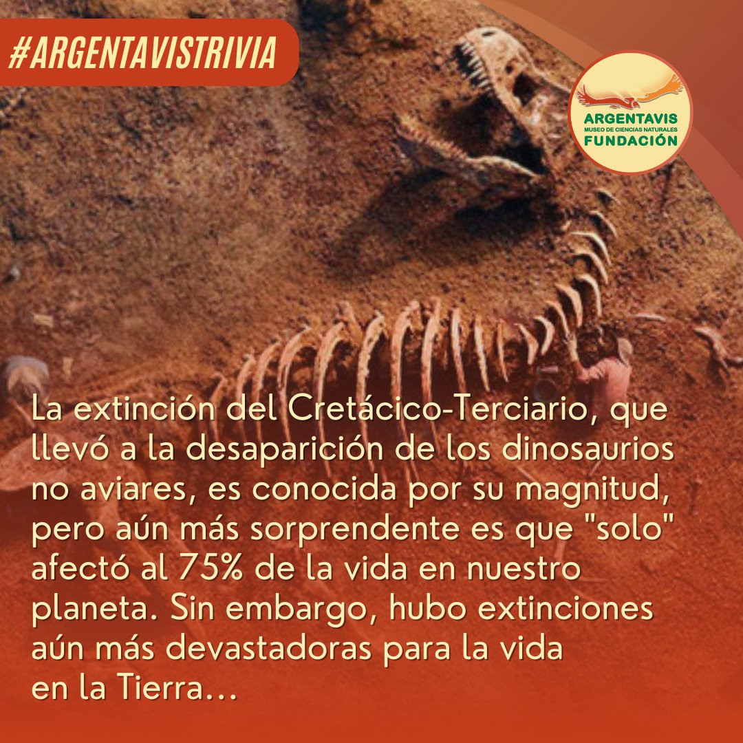 💡🌿 Descubre curiosidades sobre la naturaleza y acompáñanos en este emocionante viaje de descubrimiento, en esta nueva publicación. ¡Siempre hay algo sorprendente que la naturaleza tiene reservado para nosotros! 🌎💫 #Museo #Curiosidades #Fosil #SabiasQue #Paleontologia #Trivia