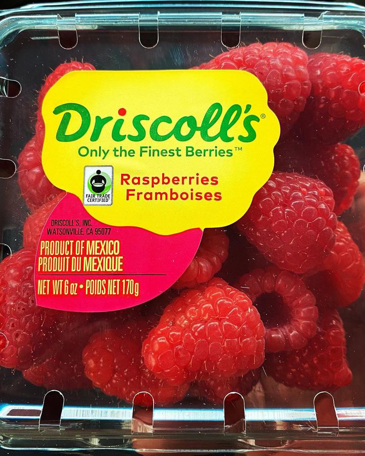 Did you know? 100% of Driscoll's berries coming out of Baja California, Mexico are #FairTradeCertified through <a href="/FairTradeCert/">Fair Trade Certified</a>. 💕🤝 

📷: Carlos Gonzales
