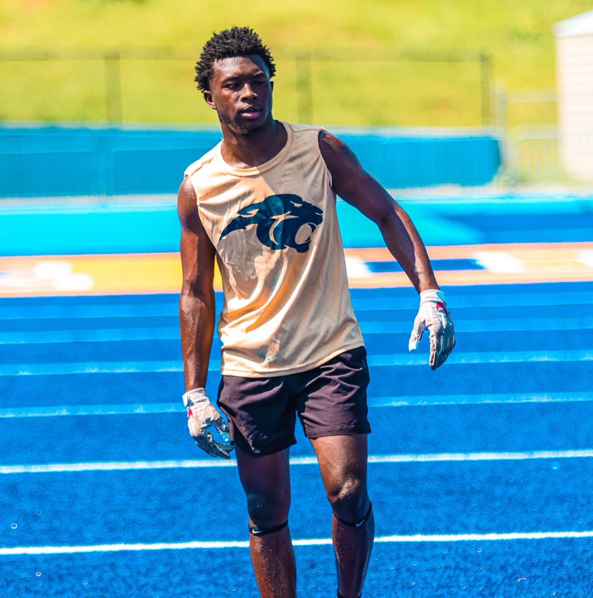 caden collier tweet media