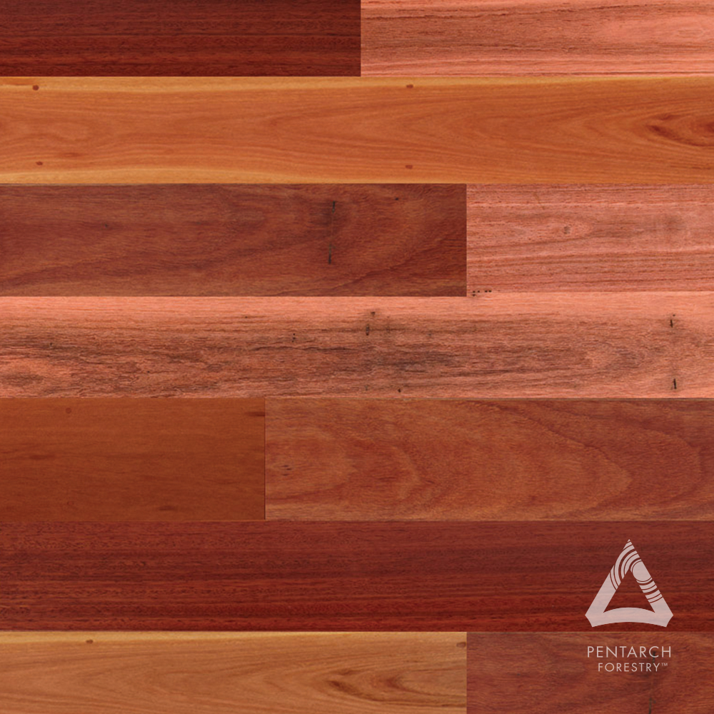 PentForestry's tweet photo. What species am I? 🌿
A blend of various-sized hardwoods from many beautiful coastal regions. My colours range from delicate pale pinks to captivating deep reds. I offer a warm and luxurious look to your floor.
#PentarchForestry #Guessthespecies #Whoami #Education #Timbertalks https://t.co/3xCkJ66gt6