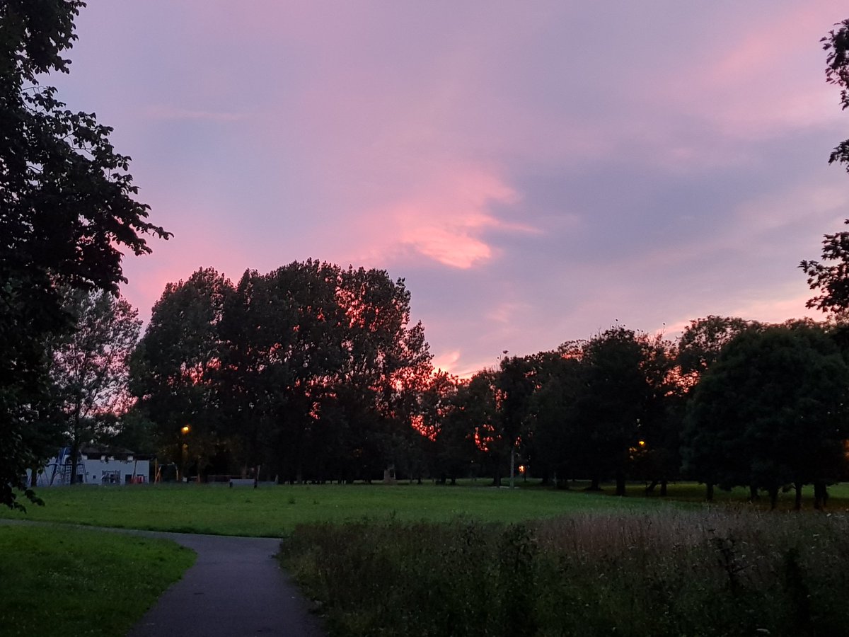 🌱Tequila🌱 tweet media