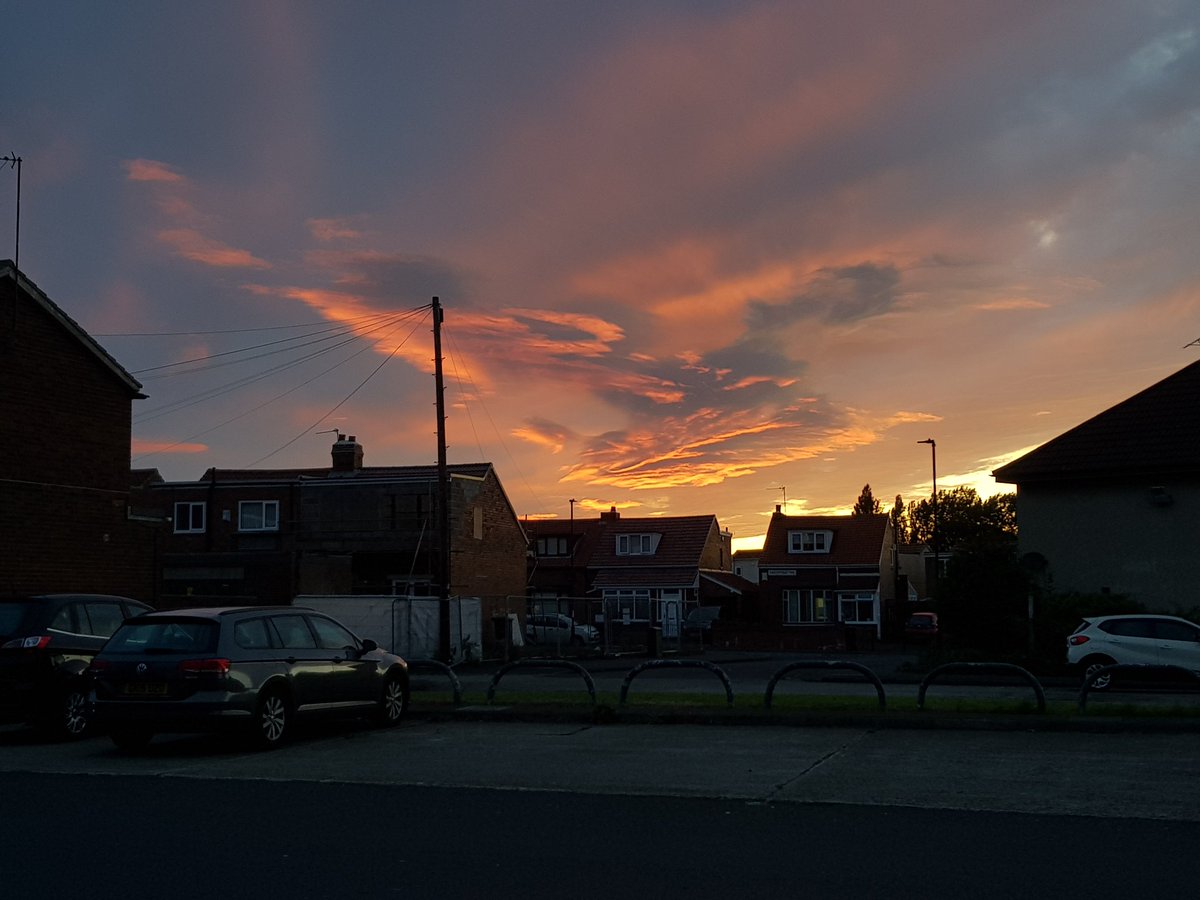 🌱Tequila🌱 tweet media