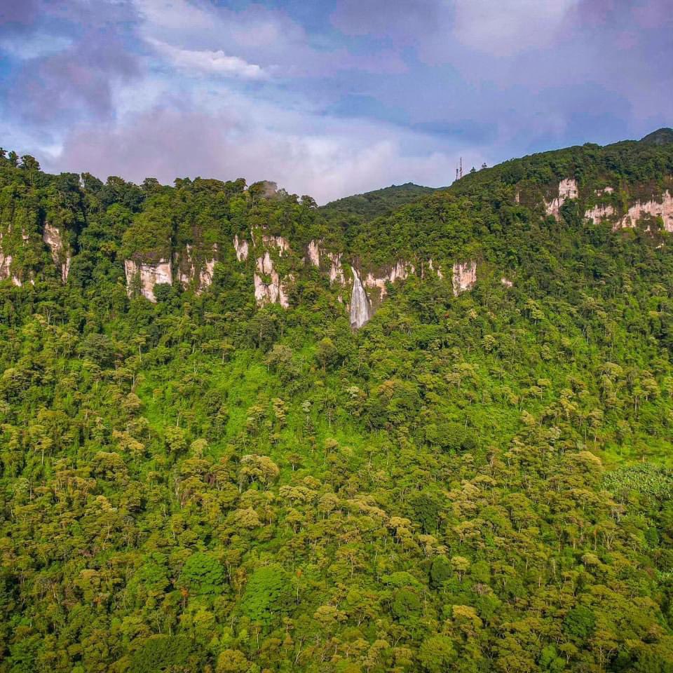 Tomas aéreas del Macizo de Peñas Blancas 🌳☘️💚

📸MAG

#ConozcamosNicaragua
#Nicaragua