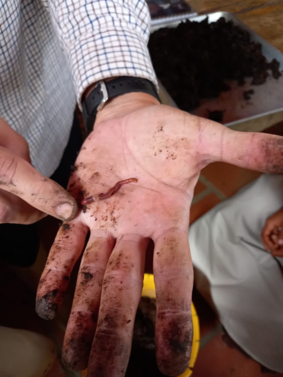 UnAgroUrbano's tweet photo. Las personas me preguntan porque me levanto cada mañana a trabajar. Y les respondo, por días como este.
#MonasterioSantaMaríaReinadelosÁngeles
#Venezuela #Carabobo #Chirgua
#Codecyt
#AbonosOrgánicos
#Lombricultura 🪱 https://t.co/apRoXXjoaU