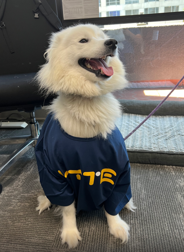 hytebrand's tweet photo. 🛑 Stop SCROLLING and post pet pics 🐶🐱🐤

@KhalilKanbar 's floofer, Lily, fashioning our HYTE tee and we're in love 🥰 11/10
Please LIKE to give a pet to Lily 🥺🙏 https://t.co/YYQ3jaPt5m